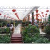 pc陽光板廠家，pc陽光板價(jià)格，河北pc陽光板