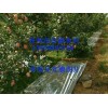 信源牌蘋(píng)果反光膜加盟事項(xiàng)