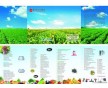 絕緣膠導(dǎo)電膠怎么從新加坡進(jìn)口，需要什么資料
