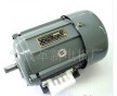 變極三相異步電動機(jī)
