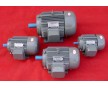 東莞Y90L4-1.5KW三相鋁電動機(jī) 節(jié)能高效鋁電機(jī)
