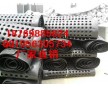 福州加強(qiáng)型塑料排水板 防阻塞蓄水板型號 湘西濾水板型號