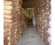PP H350EG 印度信誠(chéng)