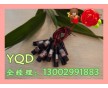 點狀光斑可調(diào)激光燈