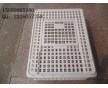 雞用運(yùn)輸籠，成雞運(yùn)輸籠，ABS塑料周轉(zhuǎn)箱