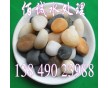 黃山園林鋪設(shè)路面專(zhuān)用鵝卵石