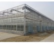 山東育苗溫室大棚，育苗溫室大棚建造廠家，泰安新綠溫室