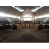 華峰膠合板廠供應(yīng)有信譽(yù)度的廣西建筑模板【火熱暢銷】