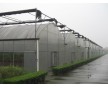 泰安蔬菜薄膜溫室，山東蔬菜薄膜溫室價格，泰安新綠溫室公司