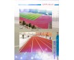 山東廊坊河北滄州碩興塑膠跑道，廠家直銷(xiāo)