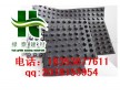 {天津屋頂綠化排水板&車(chē)庫(kù)頂板排水板%質(zhì)量保證}