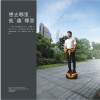 呂氏商貿廠家直銷 實用的樂行體感車供應商當屬呂氏商貿有限公司