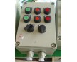 BZC81防爆操作柱，防爆操作柱BZC系列
