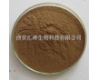 廠家現(xiàn)貨專業(yè)供應三棵針提取物 10:1 清熱燥濕，瀉火
