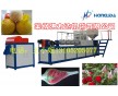 EPE發(fā)泡網(wǎng)機(jī)，水果網(wǎng)套機(jī)，橄欖菜網(wǎng)套機(jī)