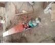 LS螺旋輸送機全國聯(lián)保河北新達價格低