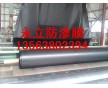 防滲防漏專用養(yǎng)藕膜、藕池專用膜材料的生產(chǎn)銷售