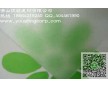 供應高品質PC板，陽光板，耐力板，PC陽光板，質優(yōu)價廉