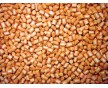 硬質(zhì)PVC粒料廠家、PVC粒料廠家、PVC顆粒廠家