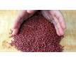PVC粒子PVC塑料pvc食品料，大良PVC粒子PVC塑料