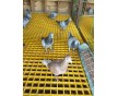 汕尾玻璃鋼格柵樹篦子、玻璃鋼護(hù)樹板
