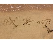 北京天然海砂價(jià)格