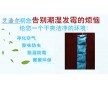 貨柜防霉，集裝箱防霉，倉庫防霉，海運貨柜防霉，用集裝箱防霉棒