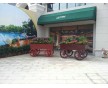 休閑家具木制花車 防腐木花車 實(shí)木手推花車 廣場移動花車