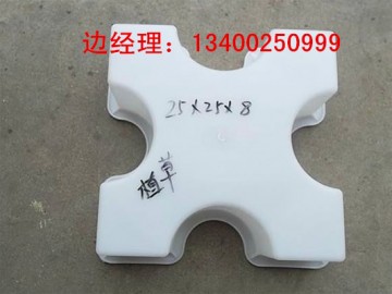 款式多樣、批量訂購更優(yōu)惠的飛皇植草磚塑料模具
