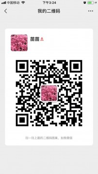 中國(guó)TETRA數(shù)字集群無線電系統(tǒng)行業(yè)發(fā)展?jié)摿εc未來前景戰(zhàn)略報(bào)