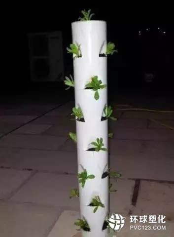 牛人巧用PVC管種菜，供一家人吃，太省錢了！ 