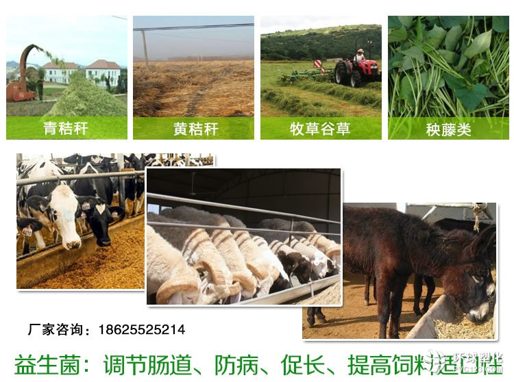 秸稈飼料發(fā)酵劑