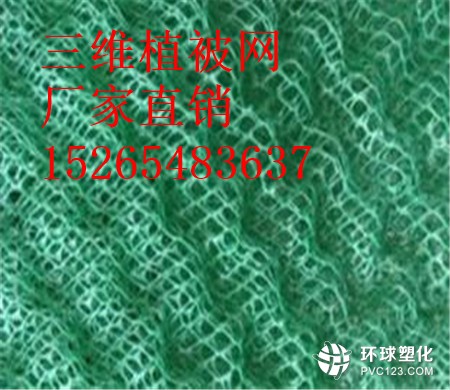 黑龍江三維植被網(wǎng)供應(yīng)商15265483637