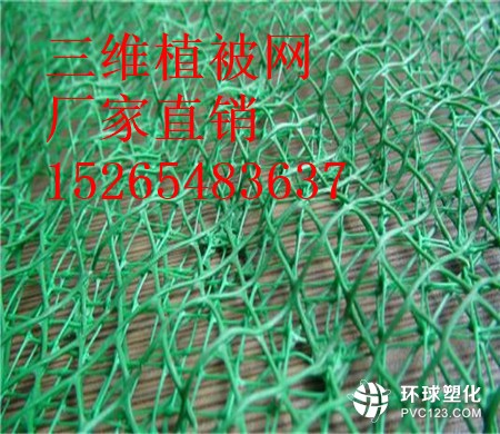 宜昌三維植被網(wǎng)批發(fā)15265483637