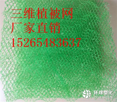 玉溪三維植被網(wǎng)供應(yīng)商15265483637