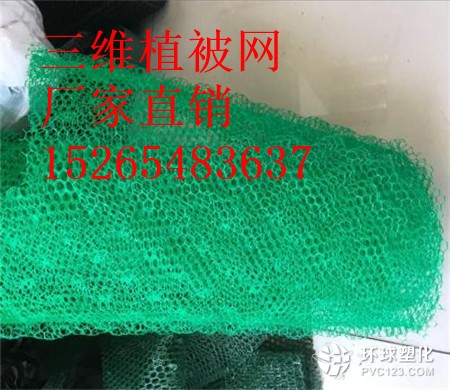 湖北三維植被網(wǎng)批發(fā)15265483637