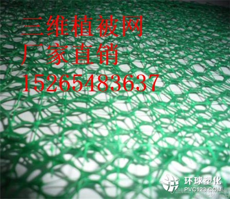 保定三維植被網(wǎng)價(jià)格15265483637