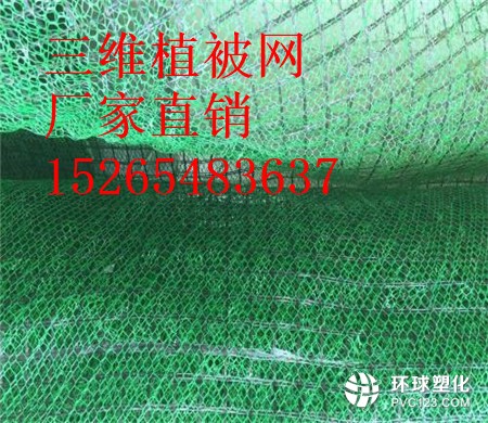 保定三維植被網(wǎng)價(jià)格15265483637