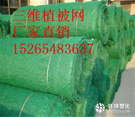 博爾塔拉三維植被網(wǎng)價(jià)格15265483637