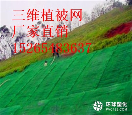 博爾塔拉三維植被網(wǎng)價(jià)格15265483637
