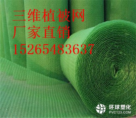 宜昌三維植被網(wǎng)供應(yīng)商15265483637