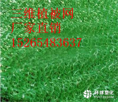 宜昌三維植被網(wǎng)批發(fā)15265483637