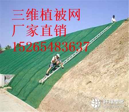 保定三維植被網(wǎng)價(jià)格15265483637