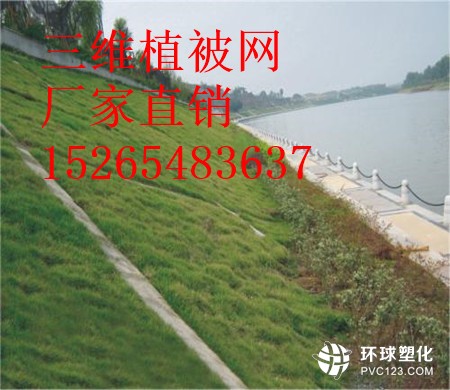 湖南三維植被網(wǎng)廠家15265483637