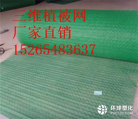 湖南三維植被網(wǎng)廠家15265483637