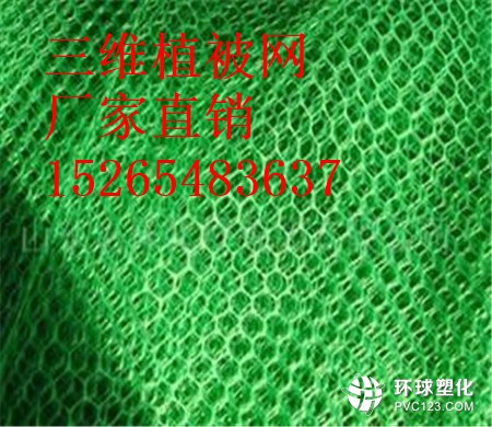 鷹潭三維植被網(wǎng)批發(fā)15265483637