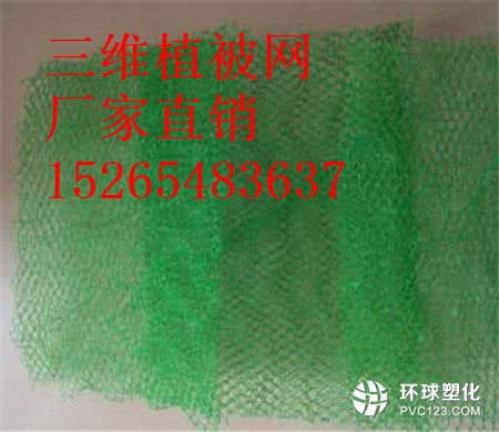 博爾塔拉三維植被網(wǎng)價(jià)格15265483637