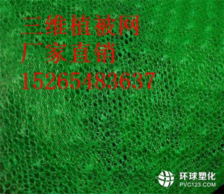 昌都三維植被網(wǎng)供應(yīng)商15265483637
