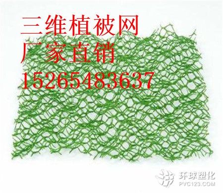 鷹潭三維植被網(wǎng)批發(fā)15265483637