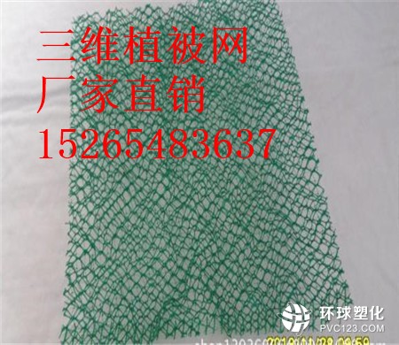 湖北三維植被網(wǎng)護(hù)坡15265483637